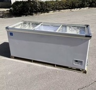🎉 新款 雪櫃 冰櫃  refrigerator  玻璃門展示櫃 冷凍 急凍 雪糕櫃   雪櫃展示櫃 商用雪櫃  玻璃趟門  現貨 保養