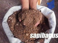 Konsentrat Pakan Sapi Kambing Domba Babi 50Kg Berkualitas