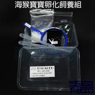 一月缺DA。。。青島水族。。。Sea Monkeys DIY 豐年蝦 蝦卵 幼魚 蛋白質 飼料==海猴寶寶孵化飼養組