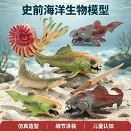 Children Parrot Screw Ammonite Dun's Fish Decoration Ornaments Toys Simulation Marine Ancient Creatu