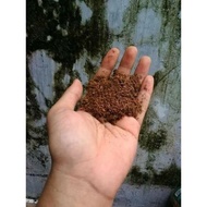 Cocopeat cocopeat