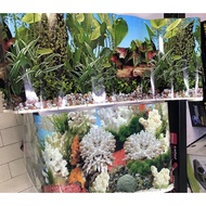 Aquarium Poster for Fresh water and Marine Water 30cm H / 12”