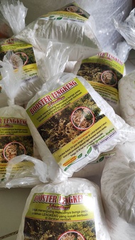 Pupuk booster kelengkeng KC|o3 nusantara 1kg 25pcs solusi pohon kelengkeng sulit berbuah