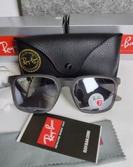 Ray-Ban 4604 雷朋偏光PC墨鏡 防紫外線高清太陽鏡