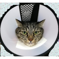 Elizabethan Collar Cone Shame Protection Cover Cat Dog Kucing Anjing Elizabeth Plastic