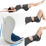 Ergonomic Back Support Chair, Lumbar Support for Posture Correction