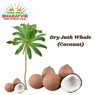 Dry Juth Whole (Fresh Coconut) (Niyog)