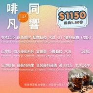 [Xingtian Coffee] Brown Tongfanxiang-Double Geisha x Top Famous Village Specialty Coffee Beans 3 in 