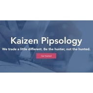 [Video Course] Kaizen Pipsology