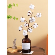 TT Nordic Kapsen dried flower True flowers natural flower bundle desktop flower language decoration 