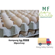 Egg - Kampung Egg Grade A - Telur Ayam Kampung 30pcs