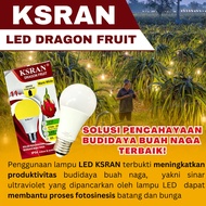 CAHAYA DRAGON FRUIT LAMP 9 WATT 11 WATT YELLOW LIGHT ENERGY SAVING LED BULB E27