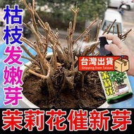 【樂樂屋】【花肥】茉莉花營養液 防黃葉不開花生長緩慢催芽催花免稀釋養花專用肥料