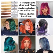 🔥ReadyStock🔥Hair Dye Color Cream 100ML /Professional Hair Salon Dye Hair Cream/ash grey /blue/green/