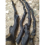 Bahan Akar Bahar Hitam Papua Size Jumbo Berserat Untuk Kerajinan