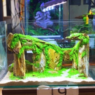 [Full combo tank 30x20x20 with Full accessories] miniature fish tank set for rocky cave. Pebbles, sa