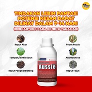 AUSSIE ORIGINAL - Baja Sawit Merawat Reput Puncak Sawit dan Meningkatkan Hasil Penuaian | Original
