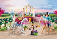 Playmobil 70450 Princess Riding Lessons เจ้าหญิง บทเรียนการขี่ม้า
