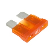 10 PCS 40A Fuse
