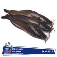 IKAN LELE SEGAR Per 500 gram