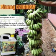 🔥🔥🔥HOT ITEM🔥🔥🔥BAJA EZIGROW BAJA ORGANIK 4LITER untuk tanaman sawit,getah,durian,petai,Pisang,bunga,sayuran,vitamin pokok