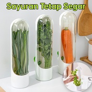 Vegetable Storage Container Vegetable Leaf Storage Container Herb Storage Storage Container