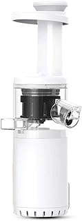 Masticating Slow Auger Juicer, Portable Wireless Mini Slow Juicer Fruit and Vegetable Cold Press Juice Extractor