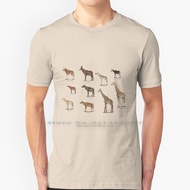 Giraffidae - Giraffe , Okapi , And Their Extinct Relatives. T Shirt 100% Pure Cotton Giraffes Okapi 