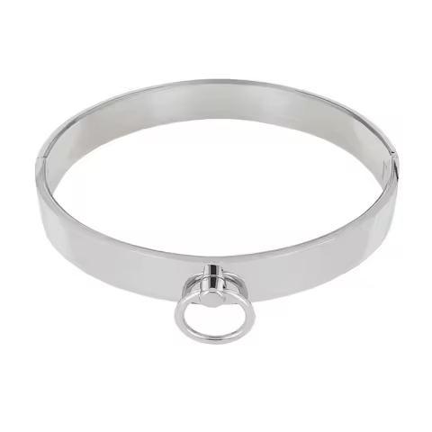 Lockable Stainless Steel Choker Necklace with O-Rings Screw Lock Collar Torques for Women And Men Fa