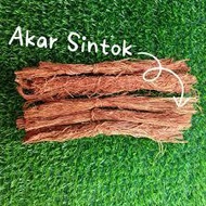 (10 IKAT) AKAR SINTOK  AKAR BERLURU AKAR MURAH AKAR SINTOK ASLI AKAR SINTOK MERAWAT KULIT KEPALA GAT