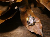 晶晶工坊*Love2hm 【綠野仙蹤-蝶舞】純銀紫鋰輝石吊墜