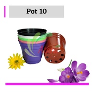 Pot 10cm Warna Warni pot 10 cm murah basic polos bunga plastik hias