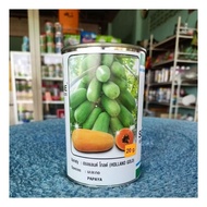 Holland Gold  Papaya betik sekaki 20gm 1000seeds.