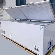 商用大容量冰櫃# 凍肉櫃 雪糕櫃多尺寸