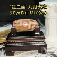 ✴️ Ready Stock ✴️ “红血丝” 九眼天珠 (M10920) 9 Eye Dzi  Manik DZI