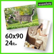 Cuci Gudang Cetak Foto Paper FujiFilm 24R 60x90 Murah