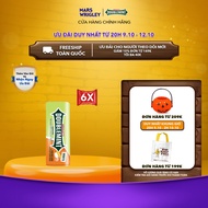 Combo 6 hộp viên ngậm không đường Doublemint hương cam 35 viên