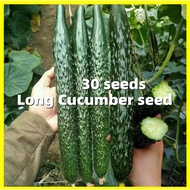 Green Long Cucumber Seed - 30 Seeds Fresh Chinese Cucumber Seeds for Planting Vegetables Garden Edible Bonsai Seeds
