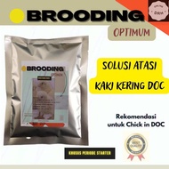 Suplemen Atasi kaki kering Ayam DOC BROODING OPTIMUM