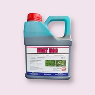 4L KUAT 566 Rumput rumpai ( sama Garrant)