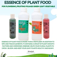 Essence of Plant Food for Flowering, Fruiting, Healthy Foliage and For Green Leafy Vegetable