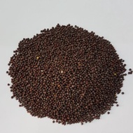 Mustard Seed Mustard Seed/ 500g 1kg/