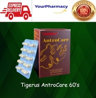 Tigerus AntroCare 60's vegecaps (Antrodia + Cordyceps Sinensis + Tiger Milk Mushroom) Liver supplement