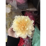 SMALL PHARMACY COTTON HEAD - CEREMONY DECORATION, GIFT BOX