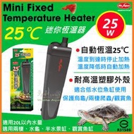 Mr.aqua-水族先生 25℃恆溫器25W/迷你恆溫加溫器/烏龜、水龜、兩棲專用、加溫棒、加熱棒