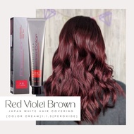 Professional Hair Color Red Violet Brown Hair Dye Color Cream 100ML
