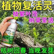Sprout Long Old Pile Sprout Germination Agent Sprout Sprout Fast Sprout Sprout Anti-Yellow Leaf Prom