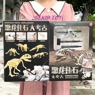 Dinosaur Fossil-Skeleton