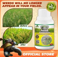 KILL GRASS PANDA RAJA PEMBUNUH GULMA