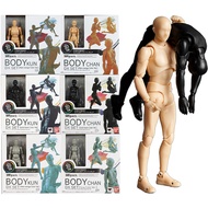SHF Body Kun Body Chan Action Figure Mannequin SHFiguarts Model Multi-Jointed Movable Body Girl Body